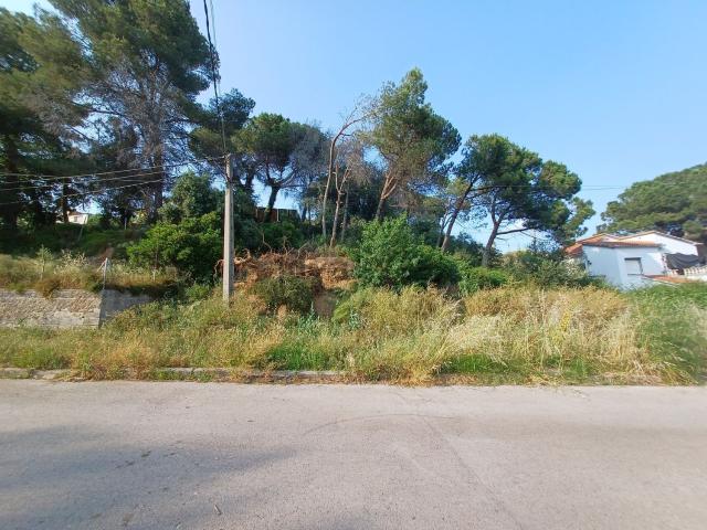 Terreno, Piera