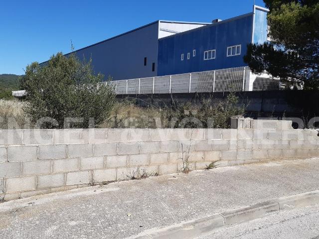 Terreno, Piera