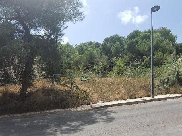 Terreno, Pilar de la Horadada