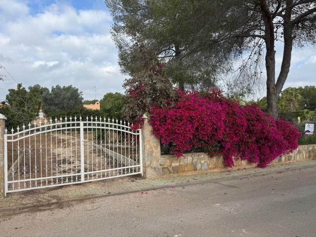 Terreno, Pilar de la Horadada