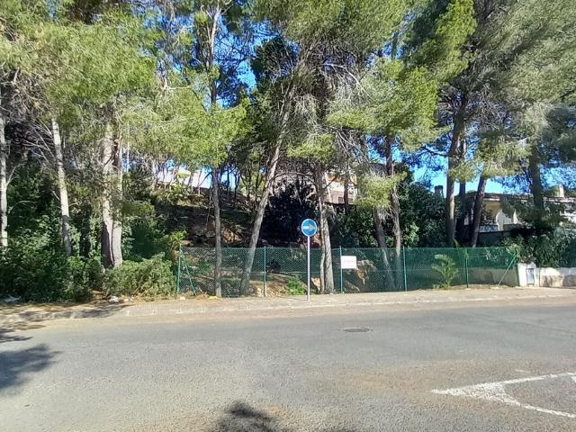 Terreno, Pino Alto, Mont Roig del Camp