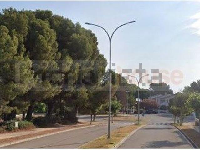 Terreno, Pino Alto, Mont Roig del Camp