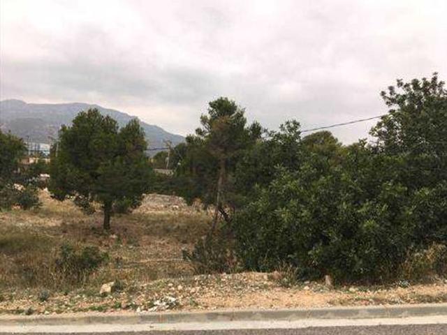 Terreno, Pino Alto, Mont Roig del Camp