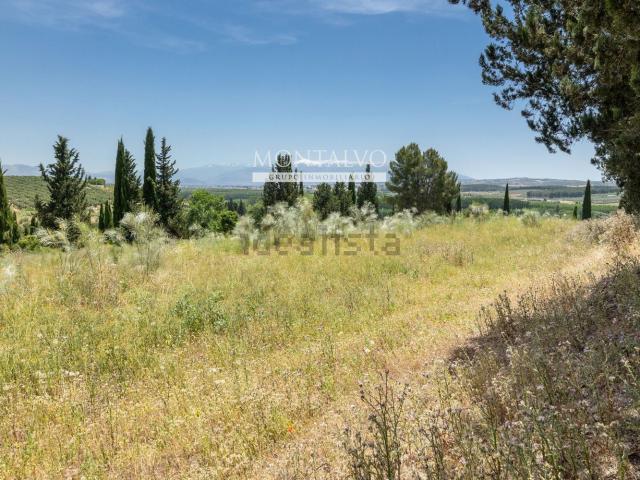 Terreno, Pinos Puente
