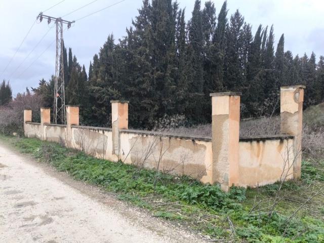 Terreno, Pinos Puente