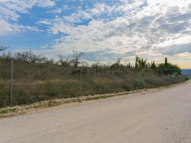 Terreno, Pinos Puente