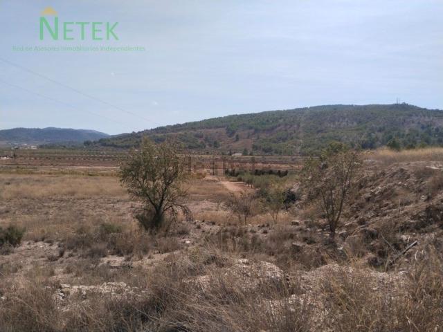 Terreno, Pinoso