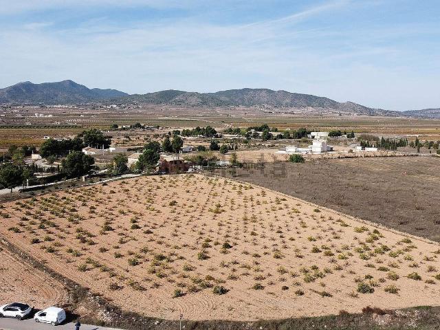 Terreno, Pinoso