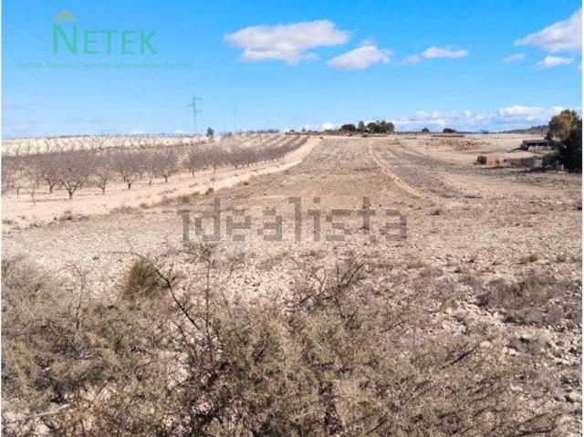 Terreno, Pinoso