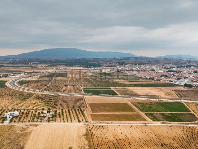 Terreno, Pinoso