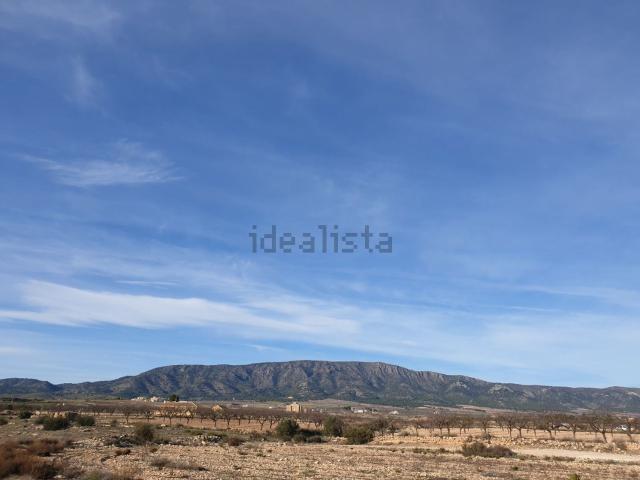 Terreno, Pinoso