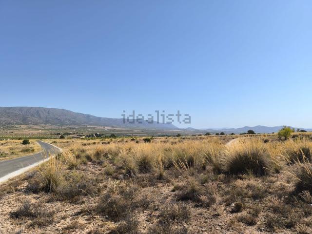 Terreno, Pinoso