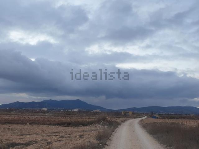 Terreno, Pinoso