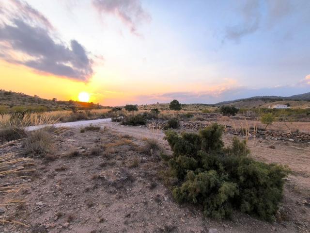 Terreno, Pinoso