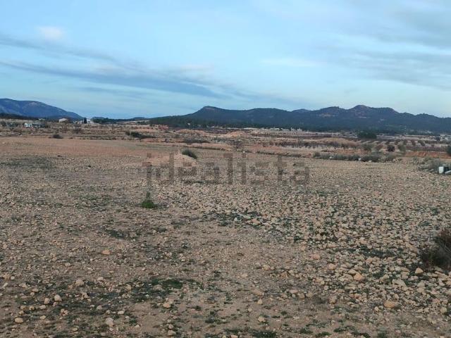 Terreno, Pinoso