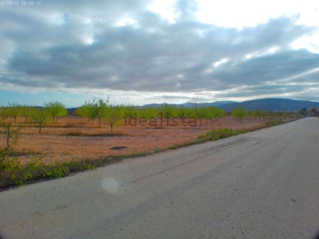 Terreno, Pinoso