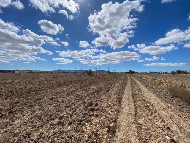 Terreno, Pinoso