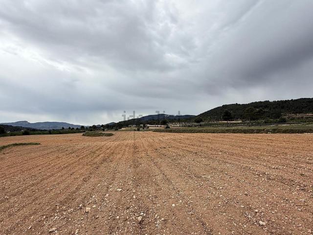 Terreno, Pinoso