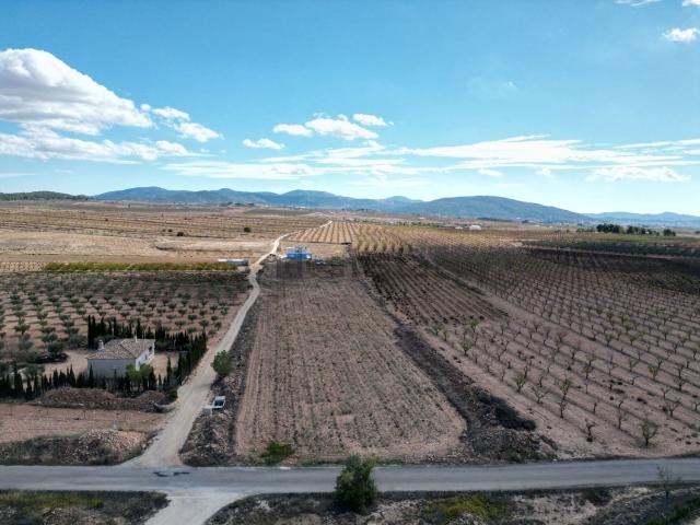 Terreno, Pinoso