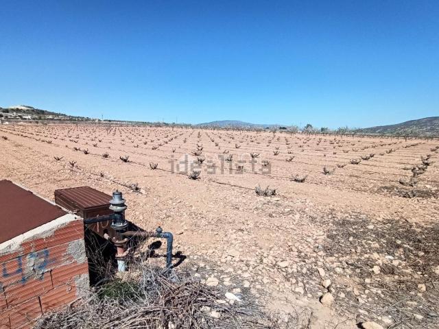 Terreno, Pinoso