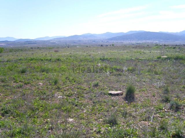 Terreno, Pinoso