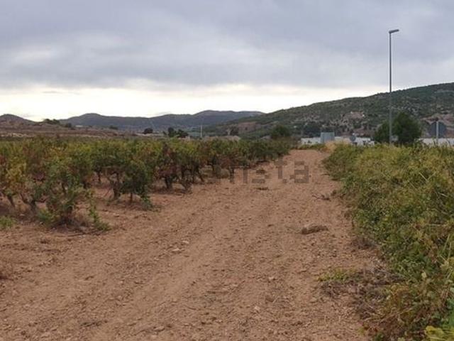Terreno, Pinoso