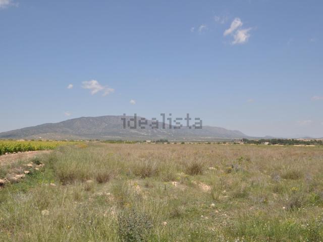 Terreno, Pinoso