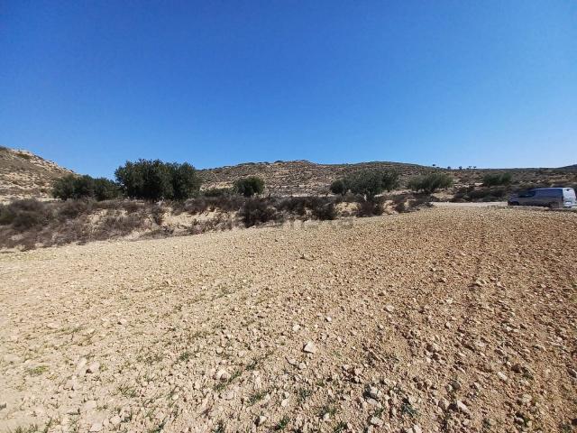 Terreno, Pinoso
