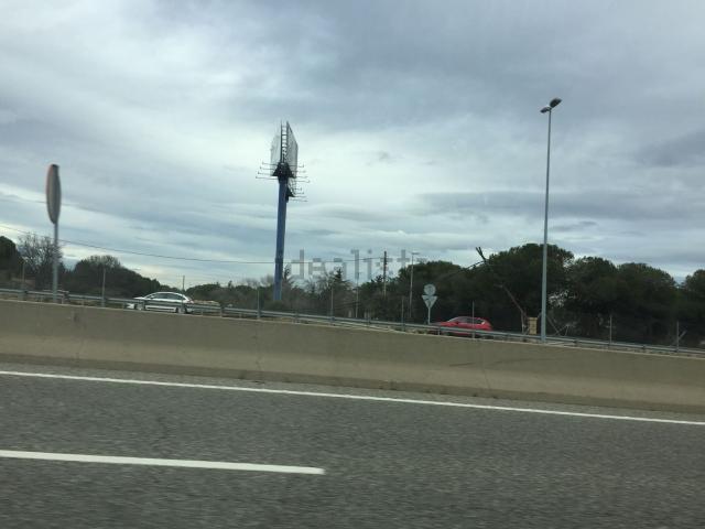 Terreno, Pinar de las Rozas, Las Rozas de Madrid