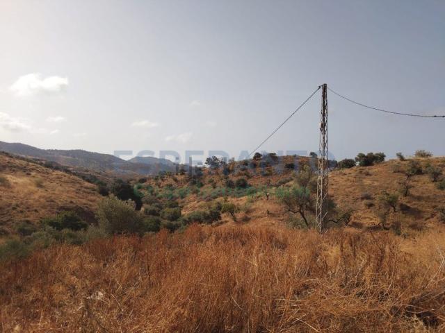 Terreno, Pinares de San Antón, Málaga