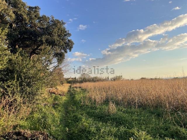Terreno, Pineda de Mar