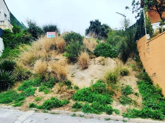 Terreno, Pineda de Mar