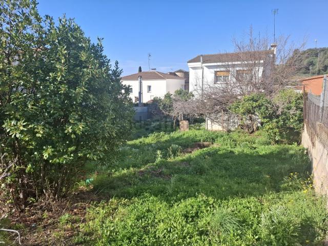 Terreno, Pineda de Mar