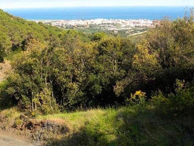 Terreno, Pineda de Mar
