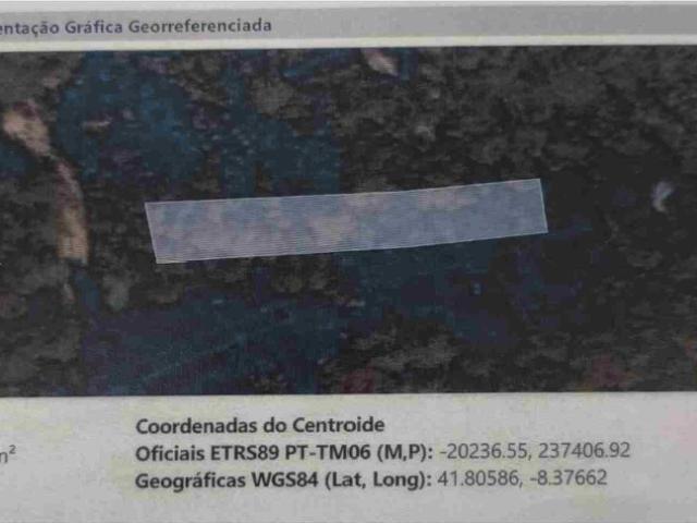 Terreno Pinhal