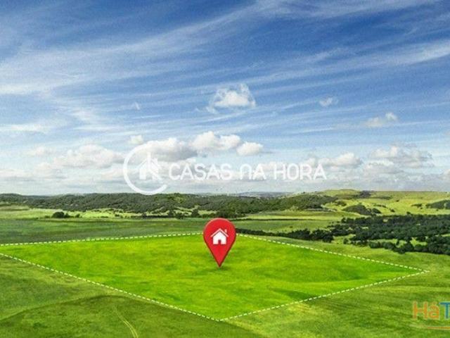 Terreno | Pinhal | Bouça | 26084062279