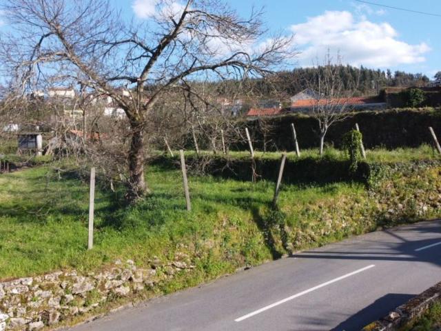 Terreno, Pinheiro, Oliveira de Frades | BPI Expresso Imobiliário