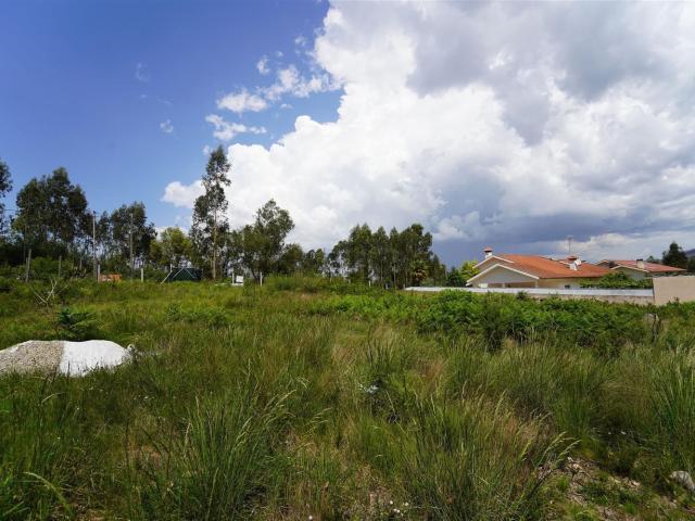 Terreno, Pinheiro da Bemposta Travanca Palmaz