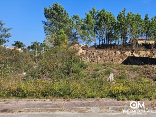 Terreno, Pinheiro da Bemposta Travanca Palmaz