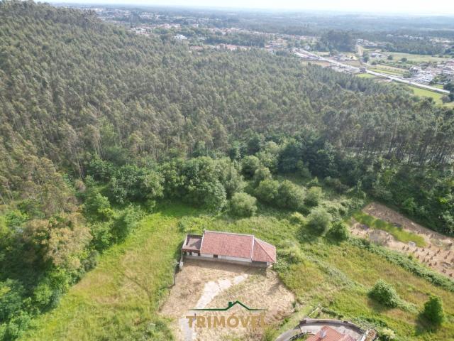 Terreno, Pinheiro da Bemposta Travanca Palmaz