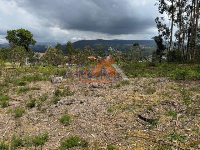 Terreno, Pinheiro da Bemposta Travanca Palmaz