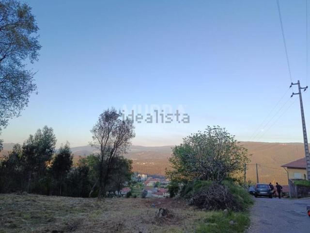 Terreno, Pinheiro da Bemposta Travanca Palmaz
