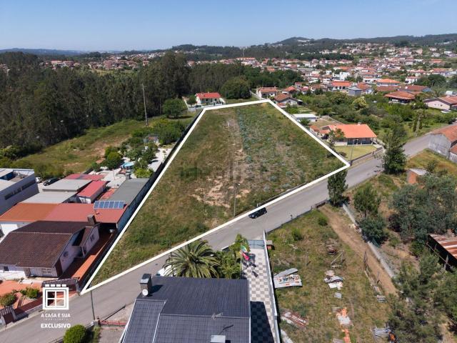 Terreno, Pinheiro da Bemposta Travanca Palmaz