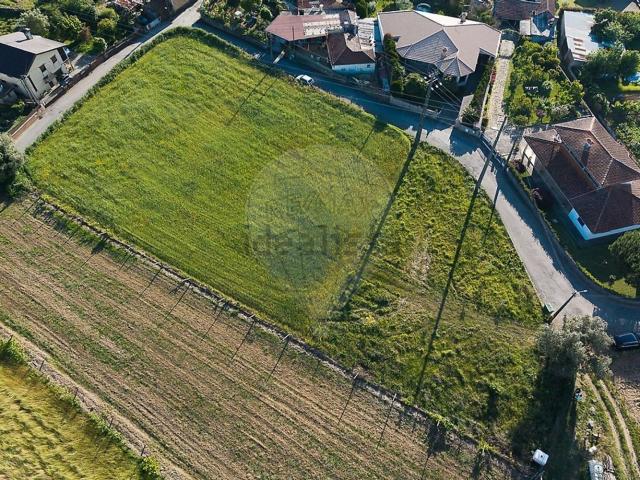 Terreno, Pinheiro da Bemposta Travanca Palmaz