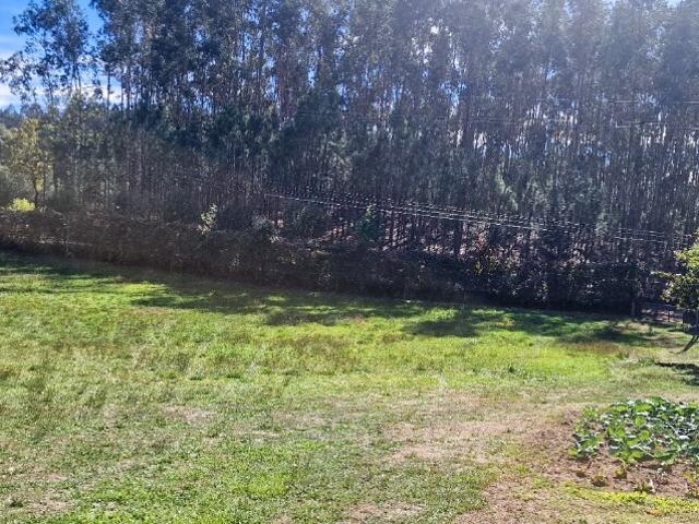 Terreno, Pinheiro, Vieira do Minho | BPI Expresso Imobiliário