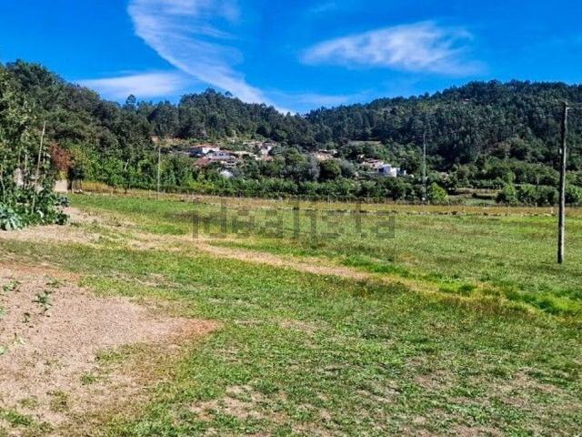 Terreno, Pinheiro