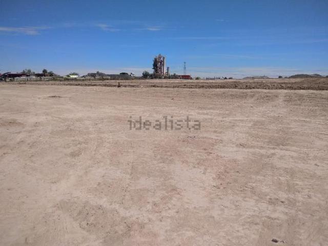 Terreno, Pinto