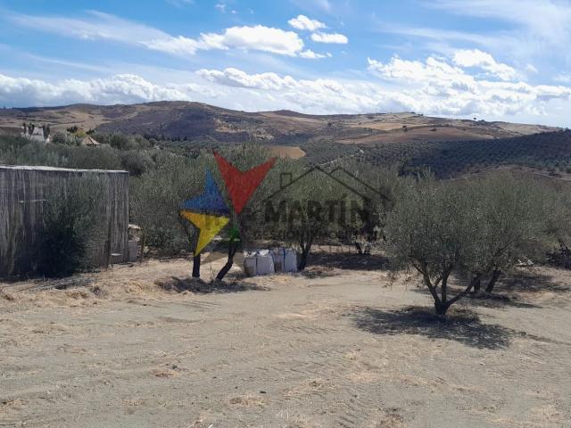 Terreno, Pizarra