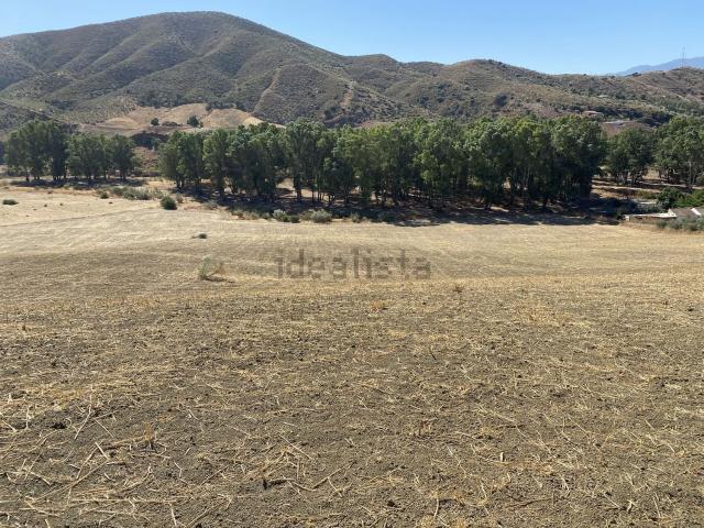 Terreno, Pizarra