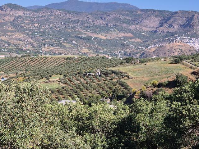 Terreno, Pizarra
